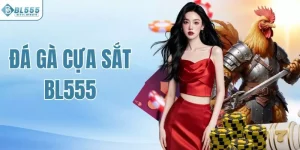 Đá Gà Cựa Sắt BL555 - Trận Đấu Kịch Tính, Sát Thương Cao