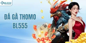Đá Gà Thomo BL555 - Đấu Trường Quy Tụ Nhiều Chiến Kê Nổi Bật