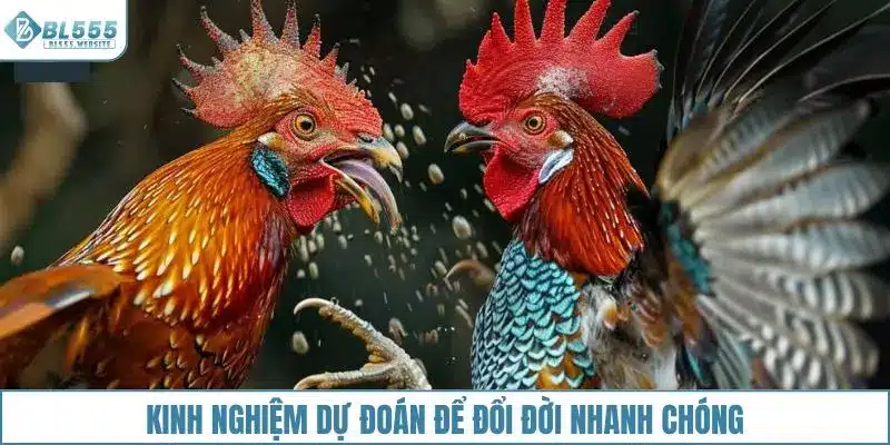 Kinh nghiệm để dự đoán chính xác cho người chơi