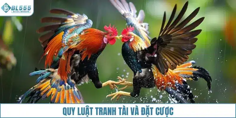 Quy luật tranh tài và cách thức đặt cược